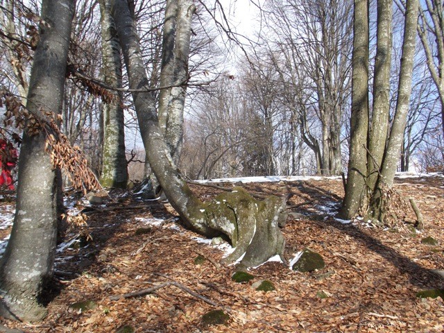 A rejtek Nagy Piliske